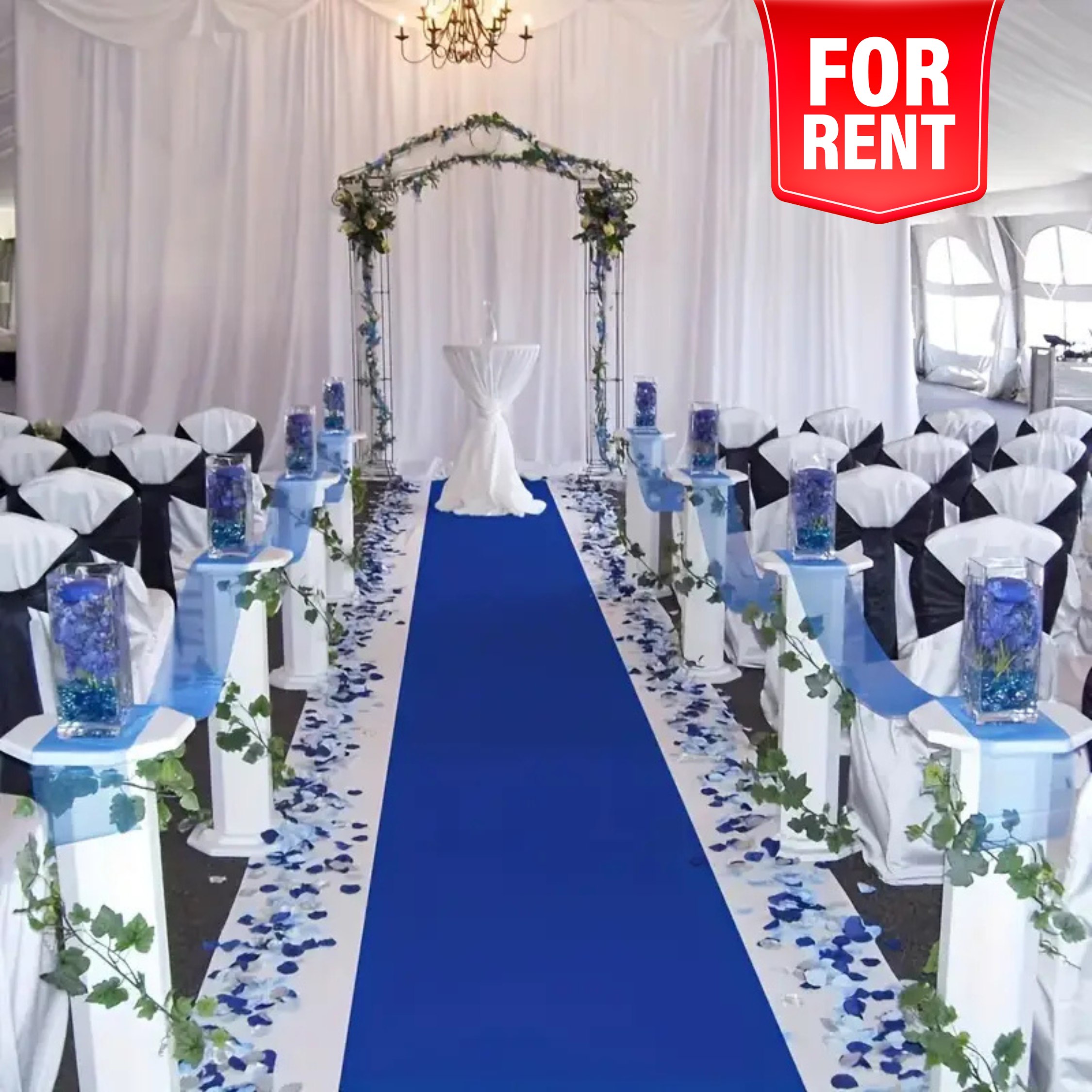 Carpet for Balloon Stage (Price 499/-)