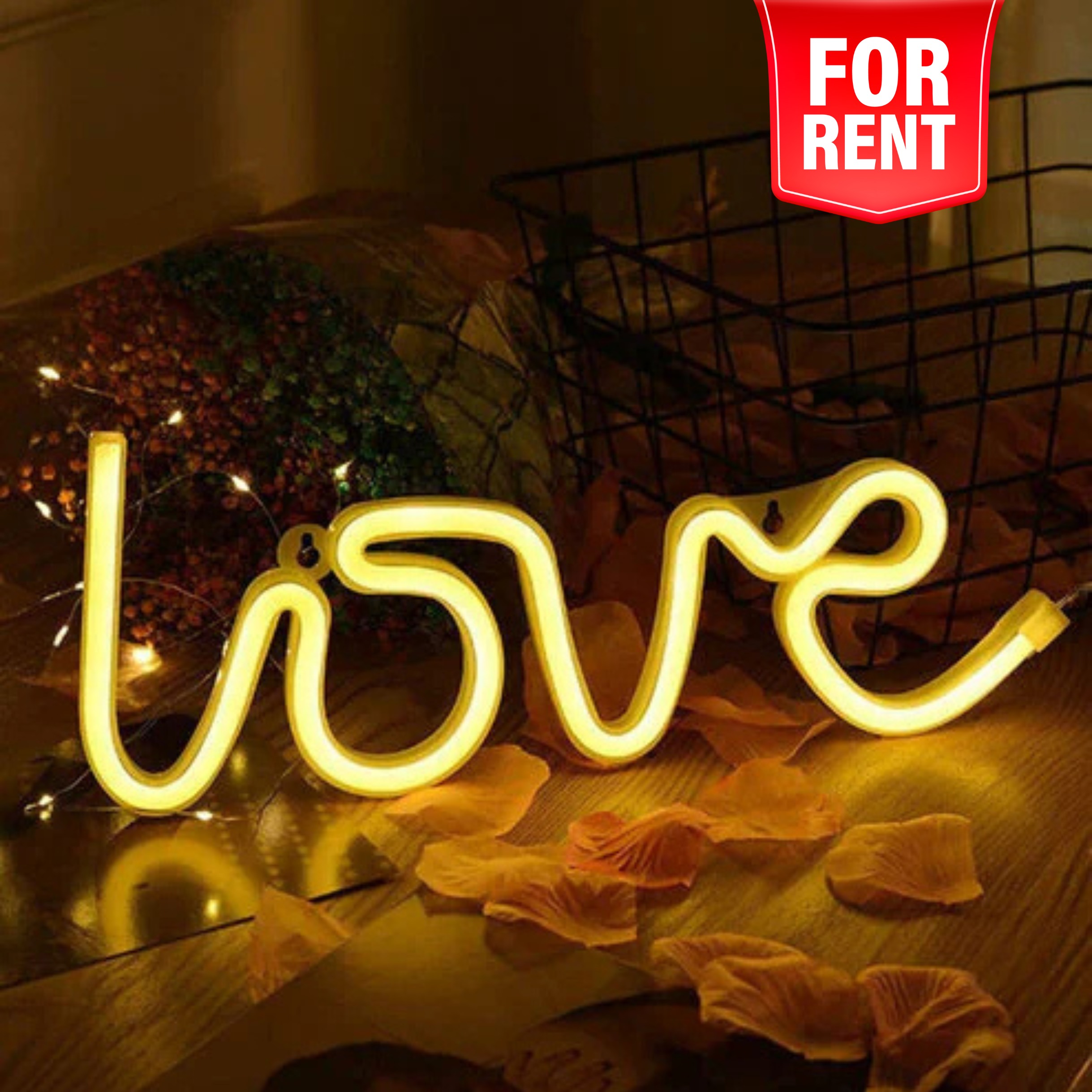 Neon Light (Price 399-)