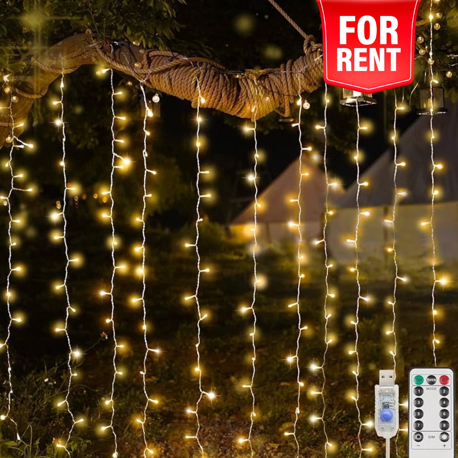Fairy Lights (price 299/-)
